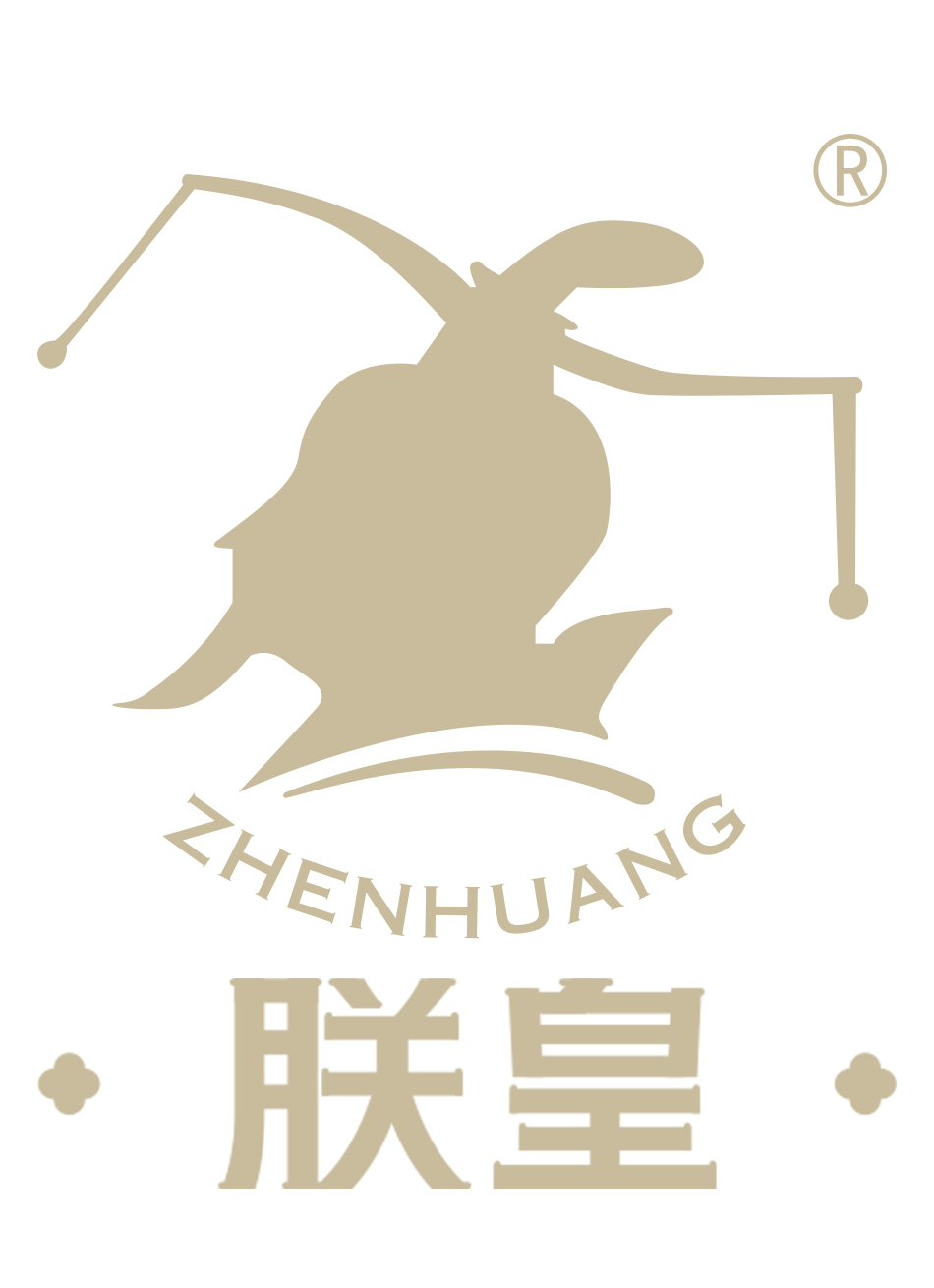 朕皇LOGO
