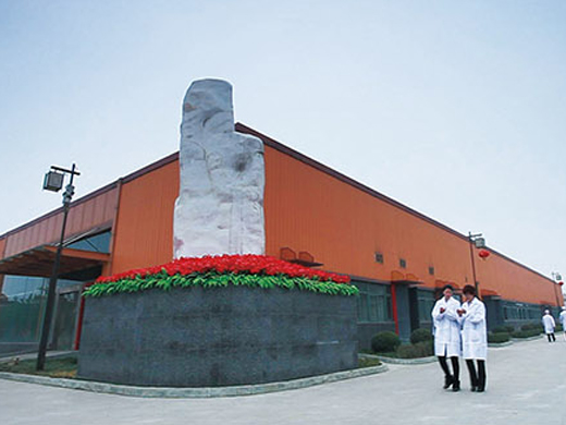 盛世龙